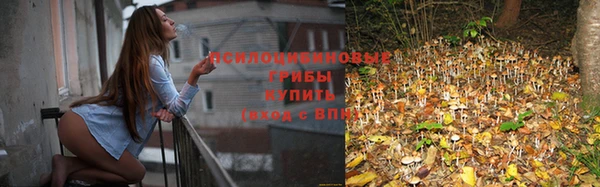 ешки Краснотурьинск