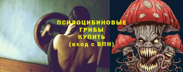 дживик Кулебаки